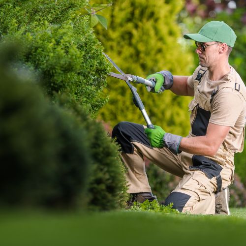 Servizi di giardinaggio